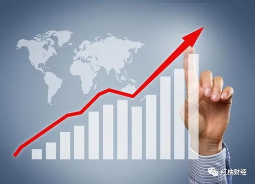 海能實業上半年預計凈利5000萬 5500萬