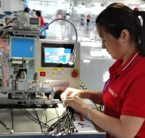 那一抹抹雛菊,芬芳了遂寧經(jīng)開(kāi)區(qū)